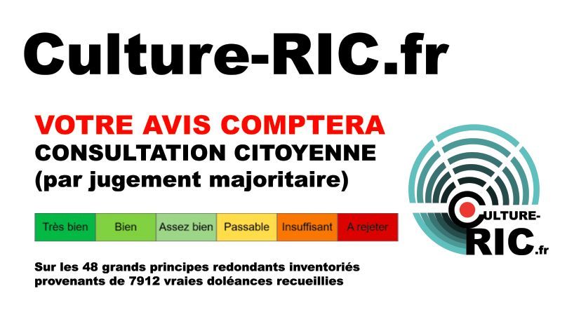 Consultation sur les principes du RIC - Jugement majoritaire