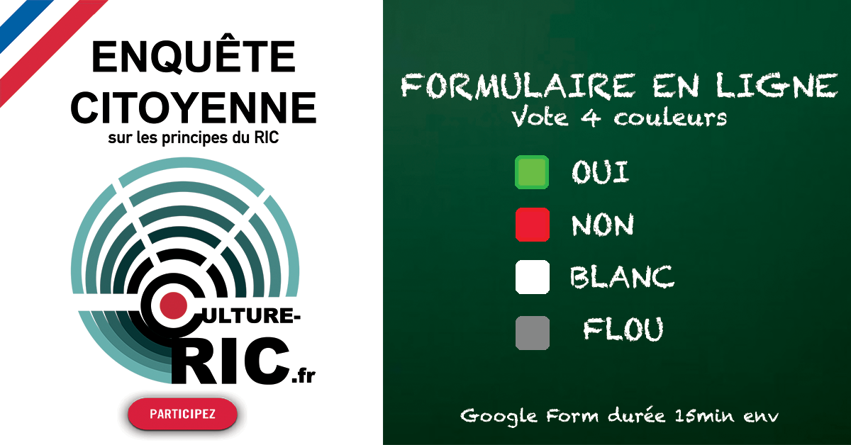 Consultation sur les principes du RIC - GoogleForm