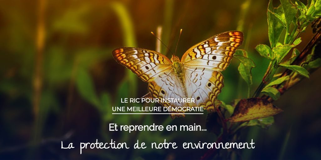 Mars 2020 : Nouvelle version du site Culture-RIC